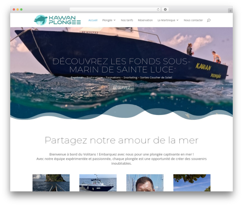 Ba order for customers WordPress plugin - kawanplongee.com