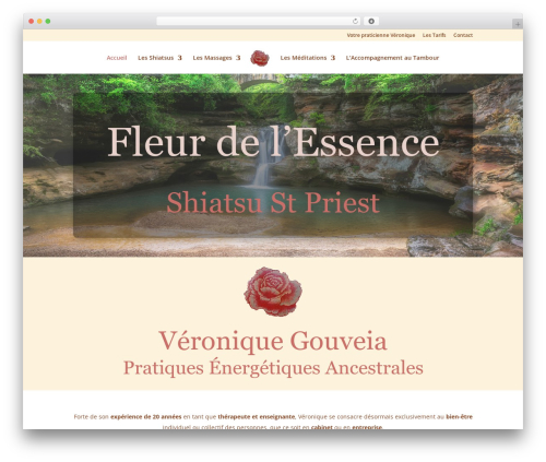 Image Size Selection for Divi (image-size-selection-for-divi) free WordPress plugin - shiatsu-stpriest.fr