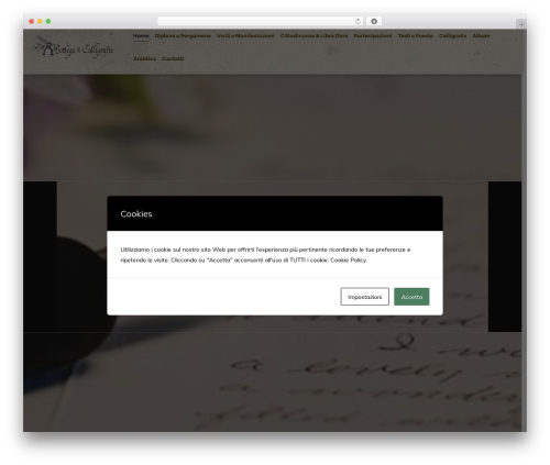 Snapster best WordPress theme - calligrafia.it