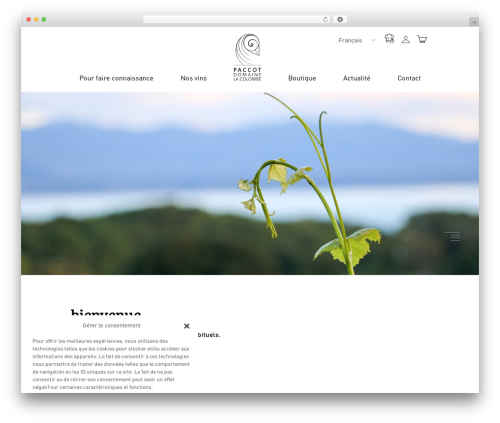 Starter WordPress plugin - lacolombe.ch