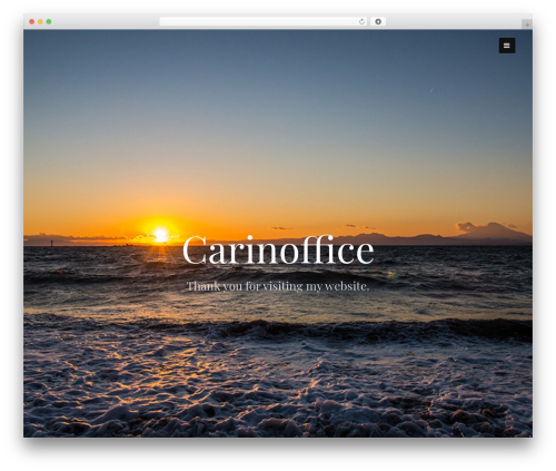 Mt_services WordPress plugin - carinoffice.com