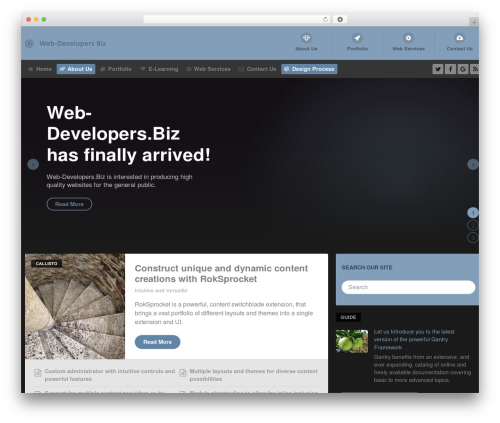 WordPress theme Callisto - web-developers.biz
