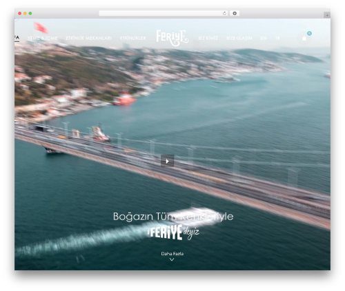 WCBoost – Variation Swatches (wcboost-variation-swatches) free WordPress plugin - feriye.com