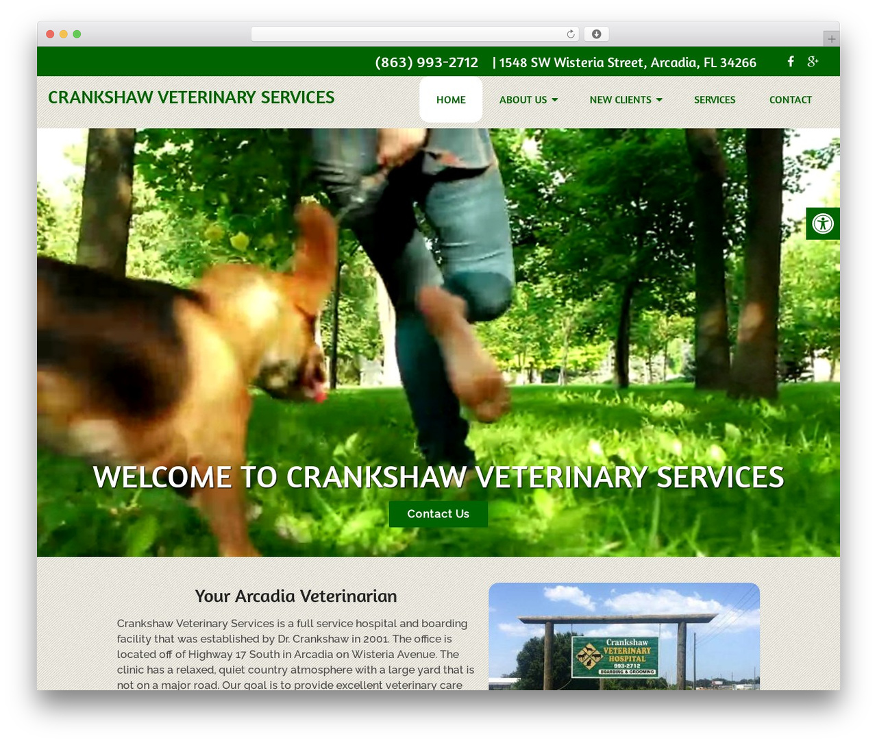 WordPress theme Schema Child - crankshawveterinaryservices.com WordPress theme Schema Child - crankshawveterinaryservices.com