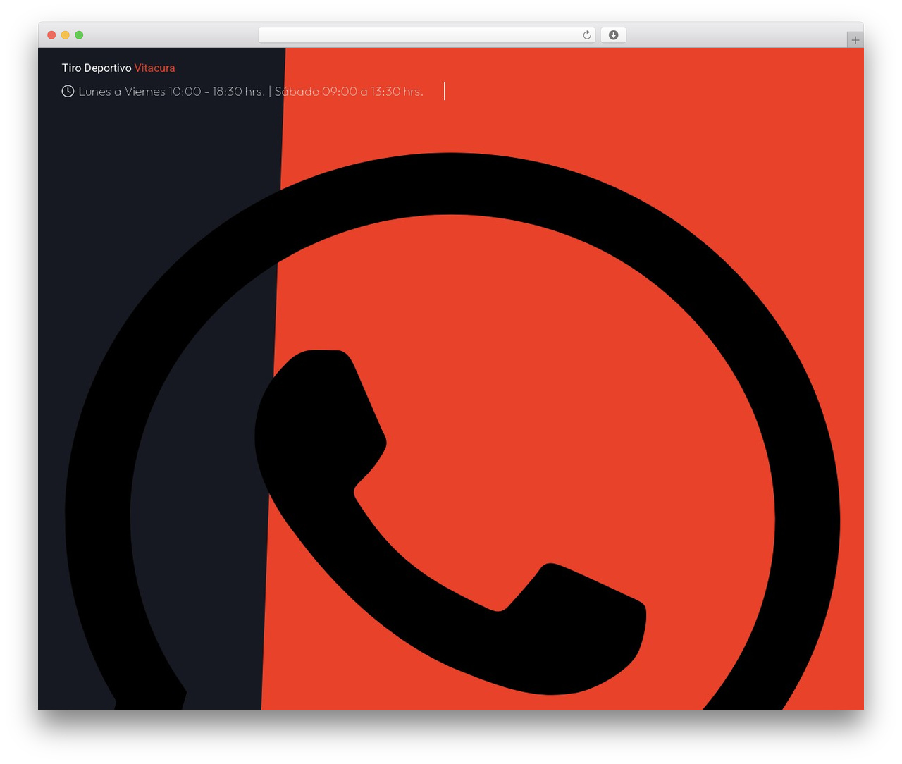 Plumer best WordPress theme - clubdetirovitacura.cl