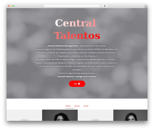 Visual portfolio pro WordPress plugin - centraltalentos.com