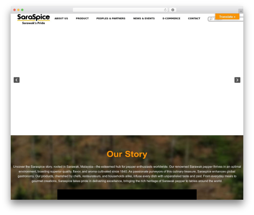 Wpb portfolio WordPress plugin - saraspice.com