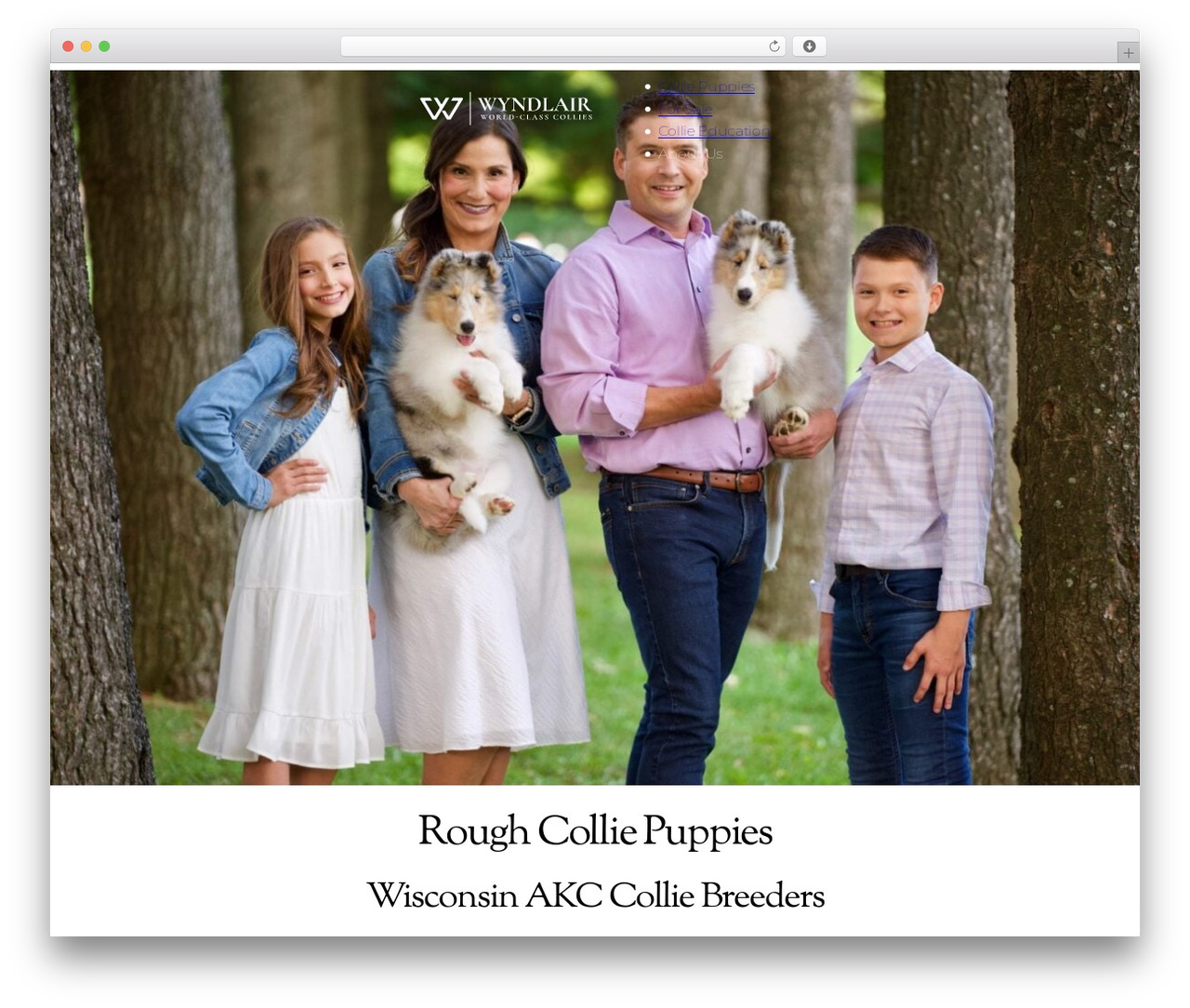 Theme WordPress Dirigible Studio 5 - wyndlaircollies.com Theme WordPress Dirigible Studio 5 - wyndlaircollies.com