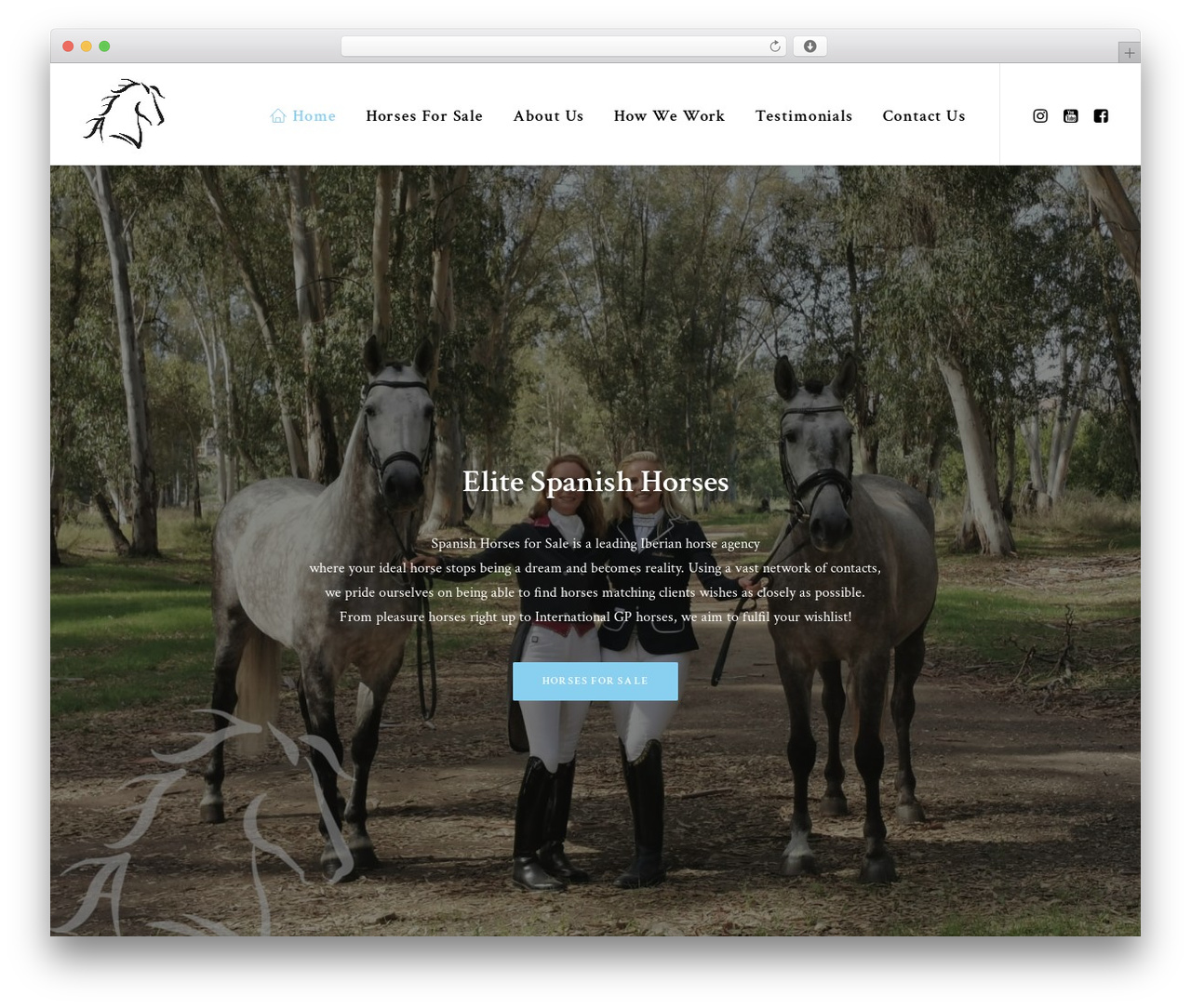 Theme WordPress Uncode Child - www.spanishhorsesforsale.com