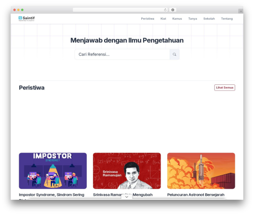 Blocks WordPress theme - saintif.com