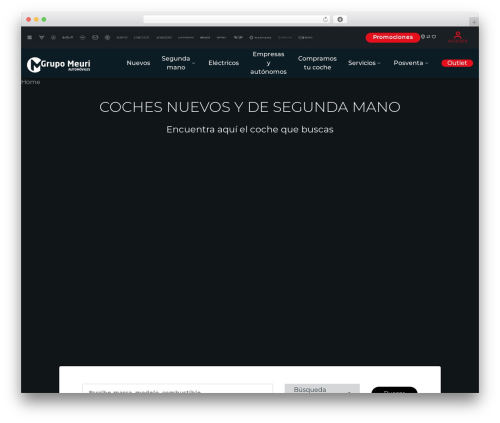 customTheme theme WordPress - meuri.com
