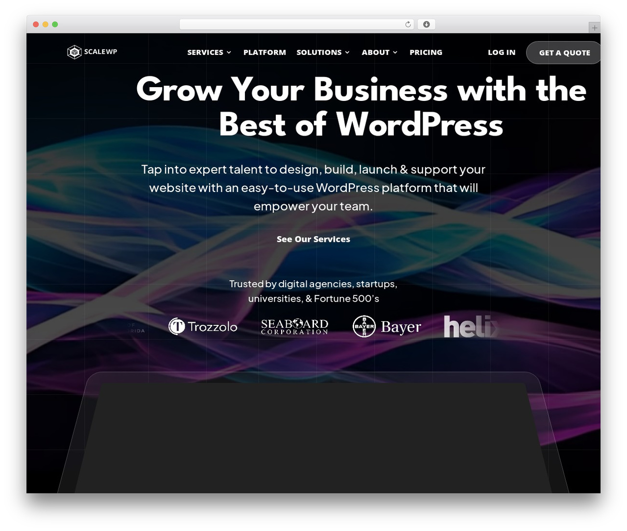 ScaleWP Divi Child Theme WordPress theme - scalewp.com