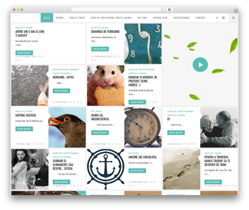 Flow theme WordPress - incautareaunuisens.ro