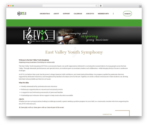 Content_timeline WordPress plugin - evysaz.org