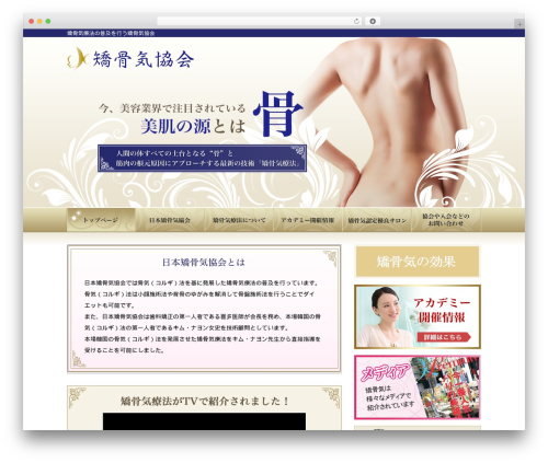 コルギ Theme best WordPress theme - kyoukorugi.com