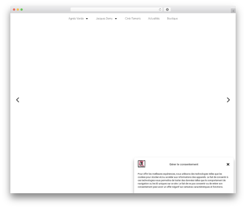 Ultimate cursor WordPress plugin - cine-tamaris.fr