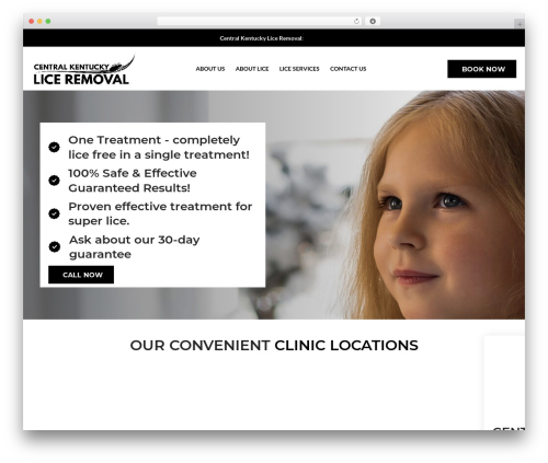 WordPress website theme Beaver Builder Theme - ckyliceremoval.com