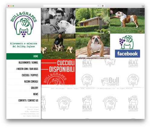 Moler WordPress website theme - bullandgrapes.com