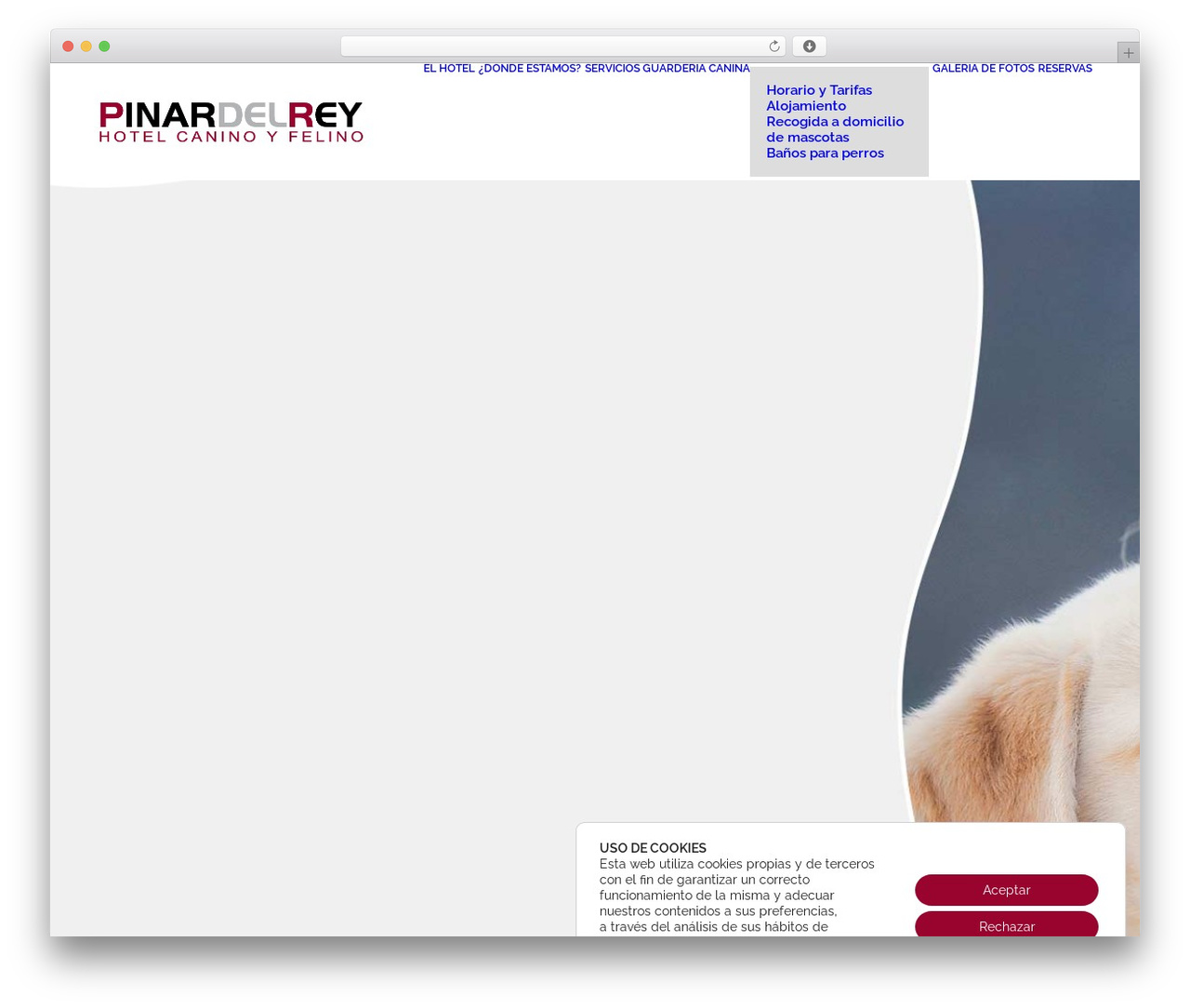 Theme WordPress Uncode Child - hcpinardelrey.es Theme WordPress Uncode Child - hcpinardelrey.es