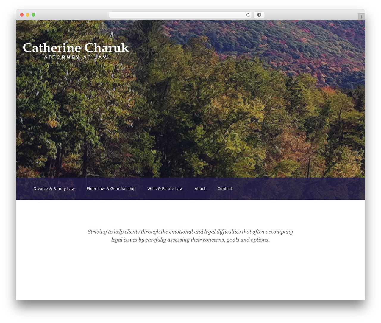 WordPress theme LEX - charuklawoffice.com WordPress theme LEX - charuklawoffice.com