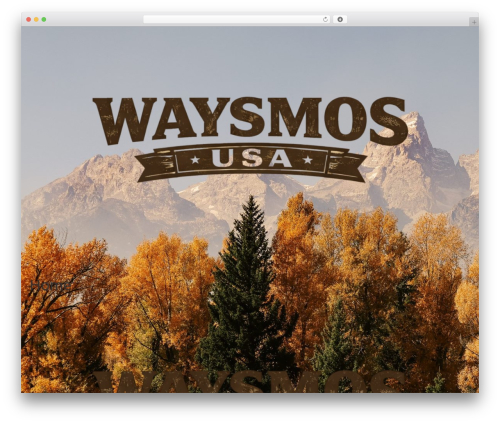 Iconvert promoter pro WordPress plugin - waysmosusa.com