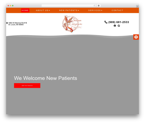 Parent Theme theme WordPress - stlouismichiropractor.com