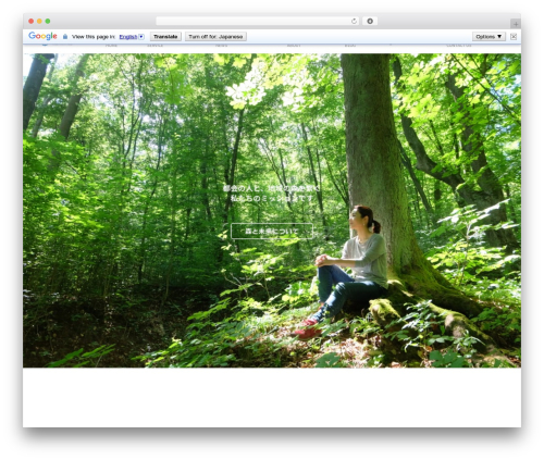 Vk blocks pro WordPress plugin - fwithf.org