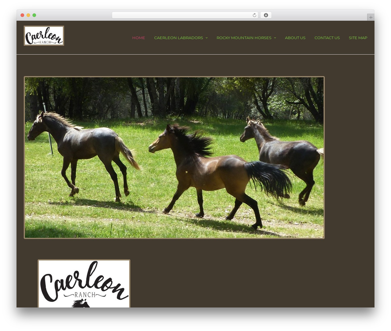 Cronus WordPress theme - caerleonranch.com Cronus WordPress theme - caerleonranch.com
