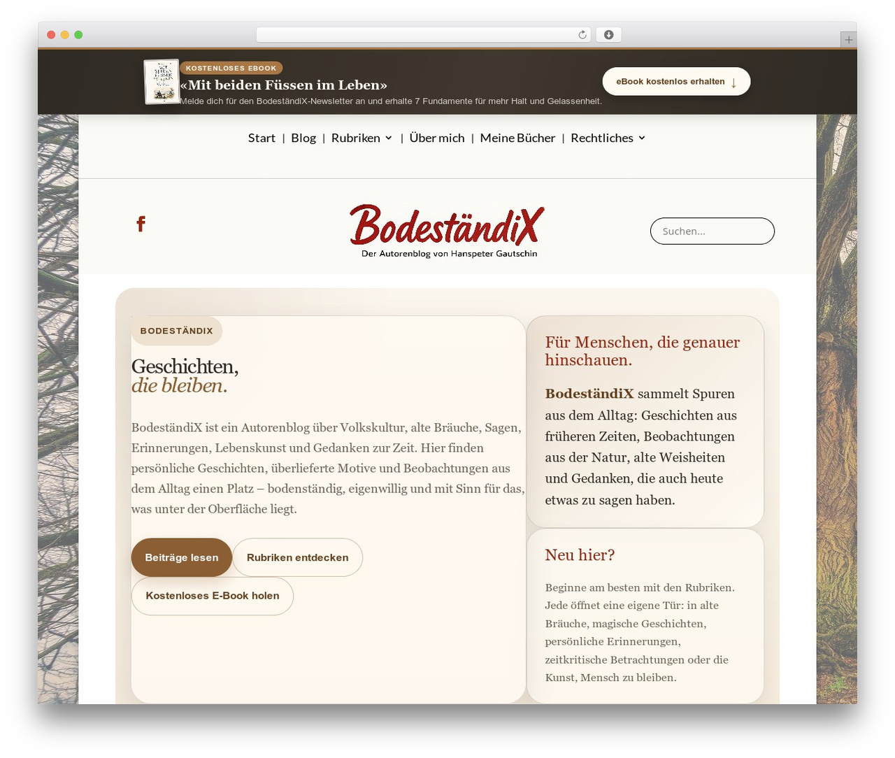 Divi WordPress theme - xn--bodestndix-v5a.com