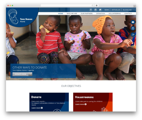Genesis WordPress theme - toro-babies-home.org