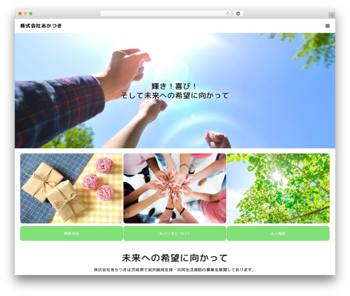 Tcd workflow WordPress plugin - akatsu-ki.com