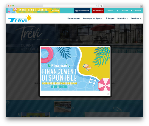 Divi visual footer WordPress plugin - trevitroisrivieres.ca