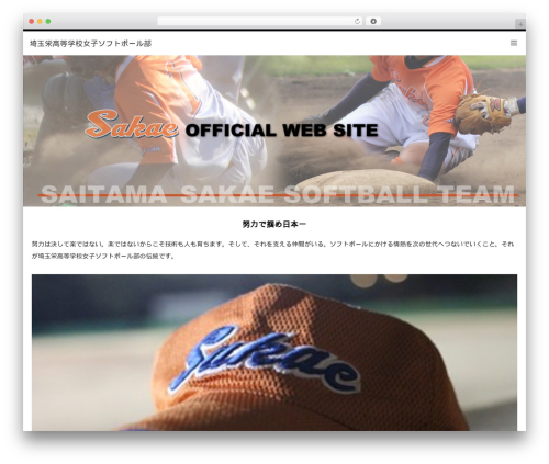 WordPress theme LUXE - sakae-softball.com