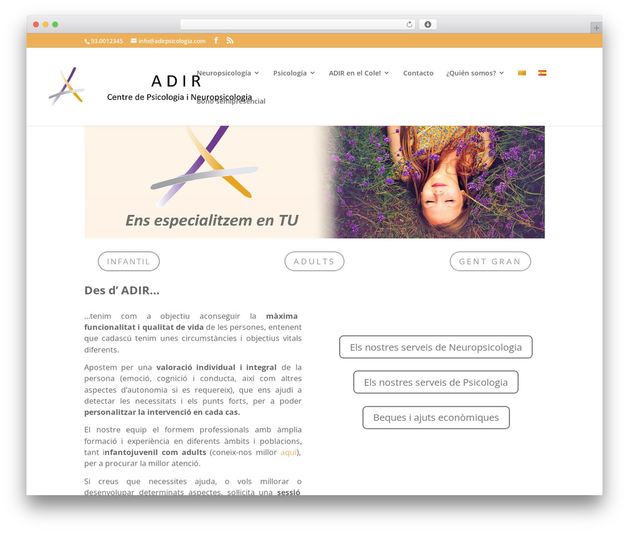 Divi WordPress theme - adirpsicologia.com