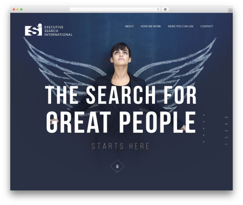 execsearchintl theme WordPress - execsearchintl.com