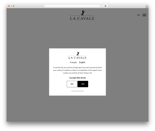 Tête Chercheuse Theme WordPress theme - domaine-lacavale.com