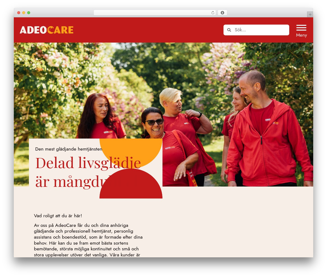 Bravo Theme WordPress theme - adeocare.se