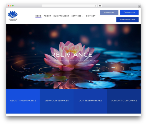 Cf7 grid and styler for divi premium WordPress plugin - reliviancewellness.com