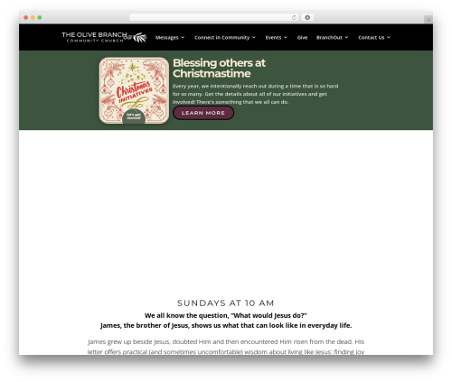 Theme WordPress Divi - tob.ca