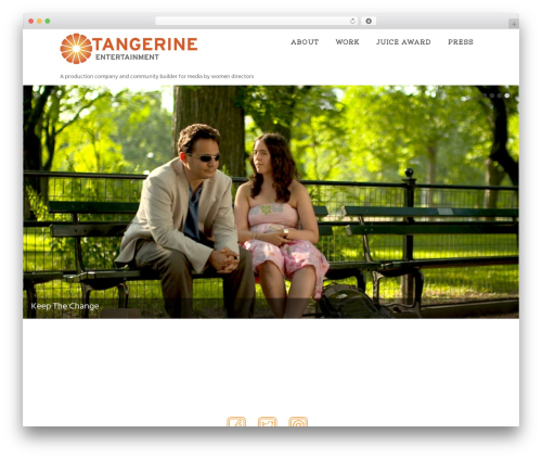 WordPress theme Optimizer - tang-ent.com