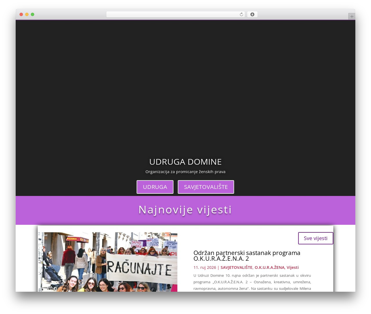WordPress website theme Divi - domine.hr WordPress website theme Divi - domine.hr