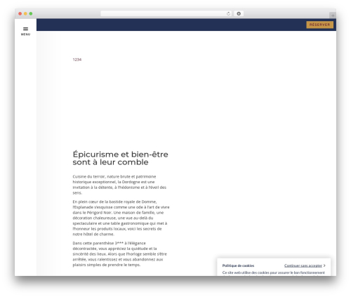 Divi datetimepicker awb WordPress plugin - esplanade-perigord.com
