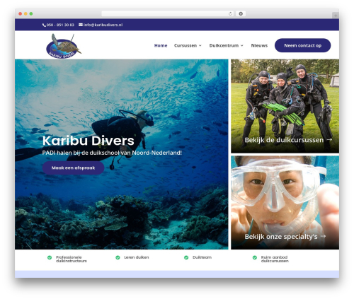 Divi WordPress theme - karibudivers.nl
