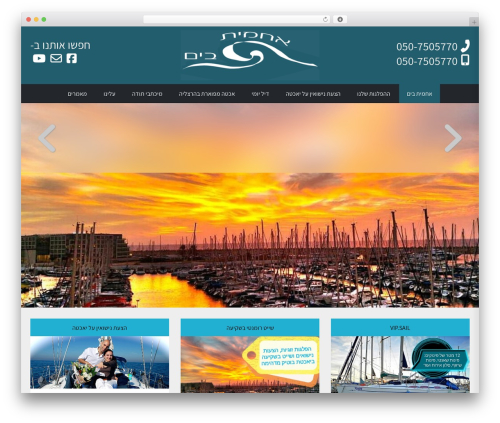 Nagish accessibility WordPress plugin - hamit2.com