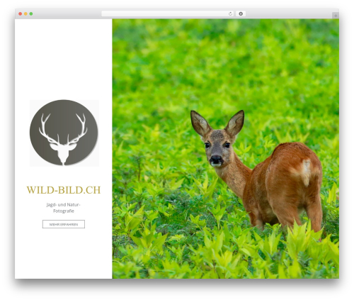 Morphology WordPress theme - wild-bild.ch Morphology WordPress theme - wild-bild.ch