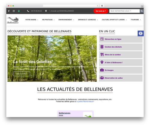 Bms securite WordPress plugin - bellenaves.fr