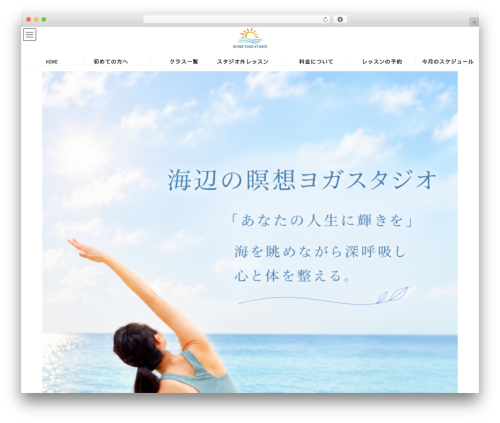 Vk video block pro WordPress plugin - shineyoga.info