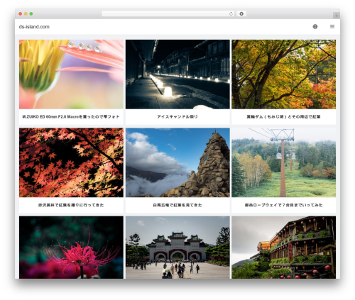 VIEW WordPress theme - ds-island.com