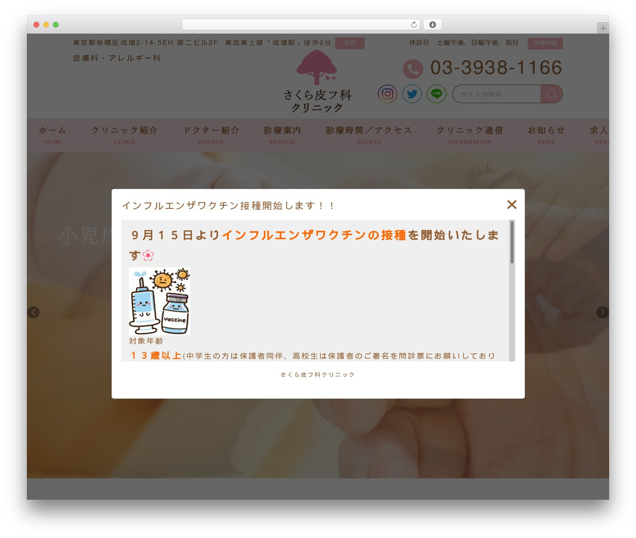 WordPress theme theme - sakurahifu.com
