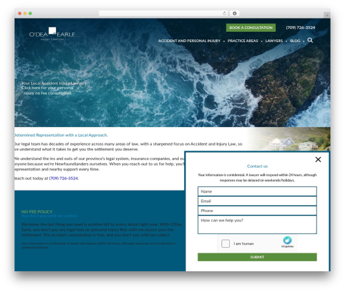 your-custom-theme WordPress theme - odeaearle.ca